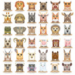 Big vector cartoon animal set