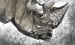 Illustration: White rhino (Ceratotherium simum) illustration made with digital White rhino (Ceratotherium simum) illustration made with digital
