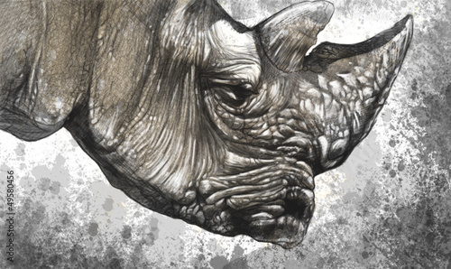 Illustration: White rhino (Ceratotherium simum) illustration made with digital White rhino (Ceratotherium simum) illustration made with digital