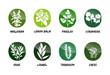 herbs vector button