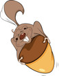 Vector: Gopher with an acorn cartoon Gopher with an acorn cartoon