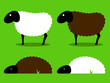 Vektor: Black and white sheep standing and sleeping Black and white sheep standing and sleeping