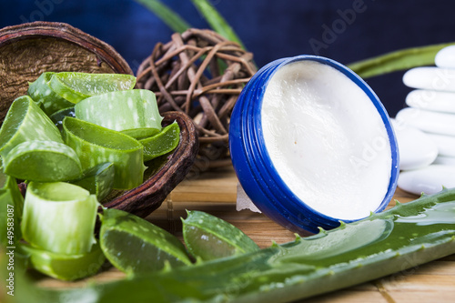 Photo: Aloe Aloe