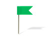 grüner Flaggenpin