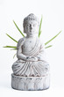 Aloe Vera Buddha