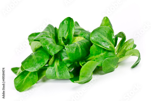Photo: Feldsalat Feldsalat