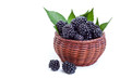 Photo: Fresh blackberries in a small basket Fresh blackberries in a small basket