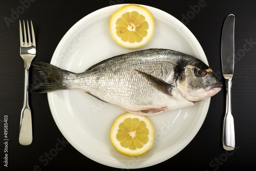Photo: Fresh sea bream on a plate Fresh sea bream on a plate