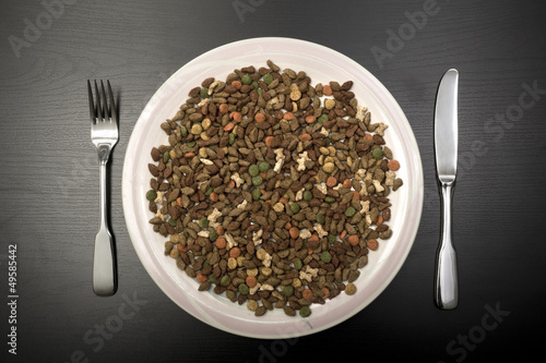 Photo: Dry cat food on a plate Dry cat food on a plate
