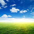 Sky and grass