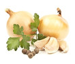 Onion and garlic clove isolated on white background