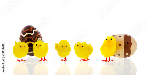 Photo: Chocolate eggs with chicks Chocolate eggs with chicks