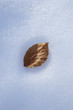 leaf
