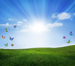 Bright summer, natural background