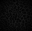 Leopard pattern Leopard pattern
