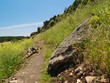 Karst landscape