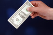 one dollar bill