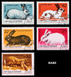 Postage stamp
