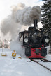 Brockenbahn #8