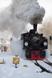 Brockenbahn #9