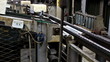 production of rubber