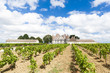 Monbazillac Castle with vineyard, Aquitaine, France