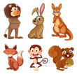 Animals In The Jungle