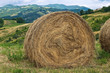 Foto: Hay bale field. Hay bale field.