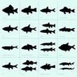 Set of freshwater fish