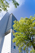 Foto: Hochhaus in Frankfurt - Sommer Hochhaus in Frankfurt - Sommer