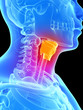 3d rendered illustration - larynx