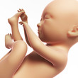 3d rendered illustration - human fetus month 7
