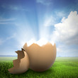Light shining from a broken egg shell on a field