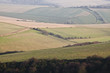 The rolling hills of the South Downs.