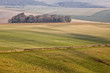 The rolling hills of the South Downs.