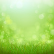 Wiese - Frühlingsstimmung