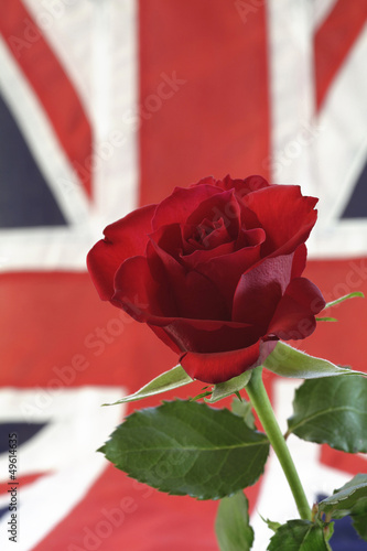 Photo: English Rose with Union Jack, soft focus English Rose with Union Jack, soft focus