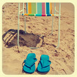 summer on the beach