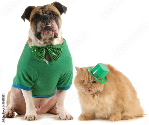 Photo: st patricks day dog and cat st patricks day dog and cat