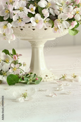 Photo: Apple blossom flowers in vase Apple blossom flowers in vase