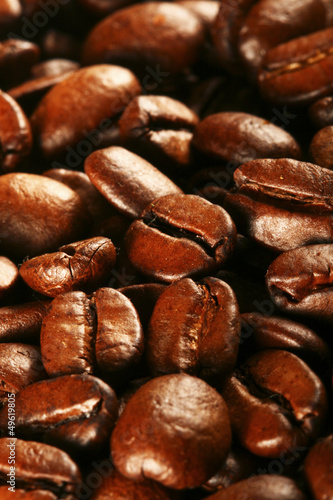 Photo: Coffee beans Coffee beans