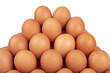 brown eggs