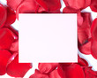Red rose greeting card.