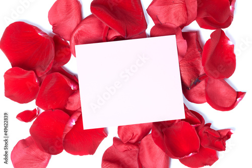 Photo: Red rose greeting card. Red rose greeting card.