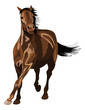 horse galloping in sunshine. A lot of glossy reflections.