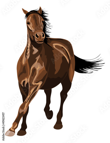 Vector: horse galloping in sunshine. A lot of glossy reflections. horse galloping in sunshine. A lot of glossy reflections.