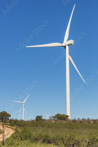 Photo: Wind Turbines Wind Turbines