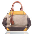 Elegant women bag isolated over white
