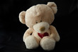 Teddy-Bär