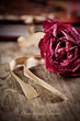 Photo: everlasting love everlasting love